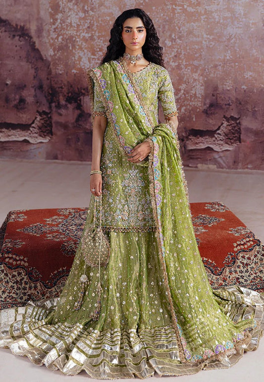 Lime Green Organza Kameez with Sharara
